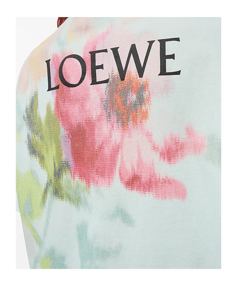 Loewe Loose Fit T-shirt In Cotton