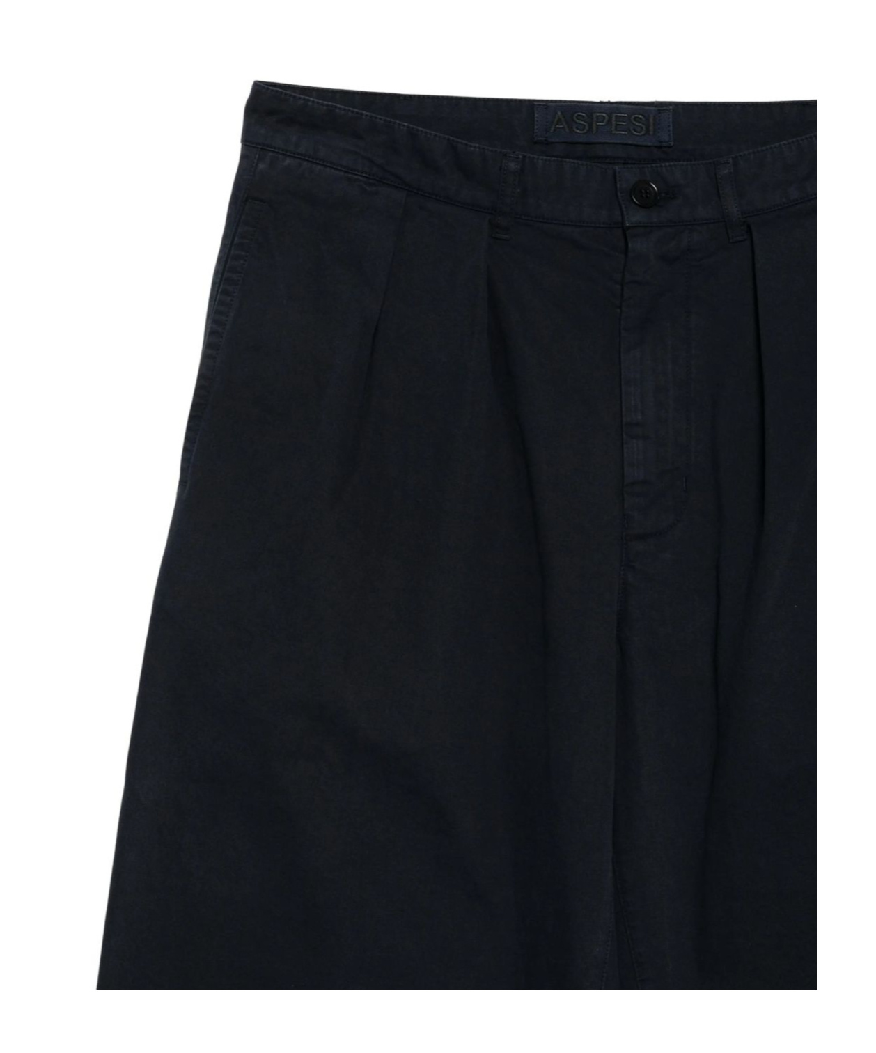 Aspesi Pleated Details Casual Pants In Black