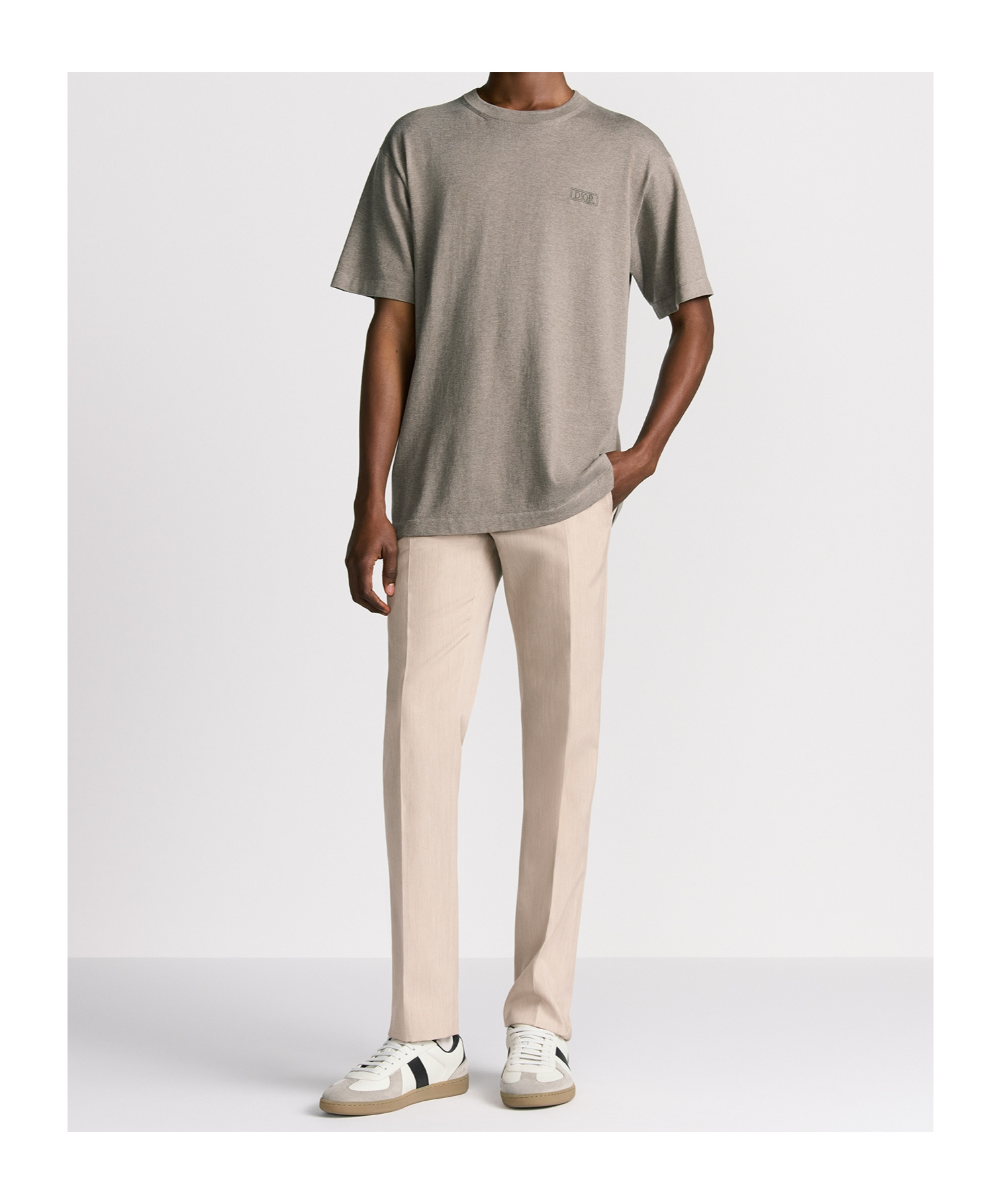 Dior Icons T-shirt In Brown