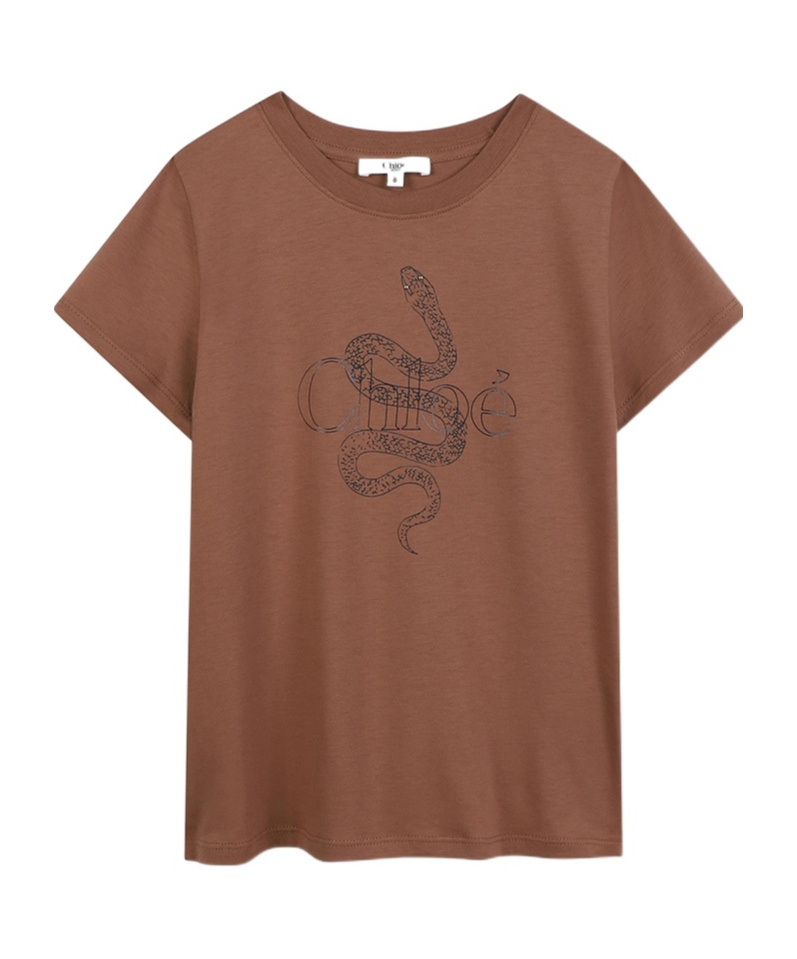 Chloé Graphic-print T-shirt In Brown