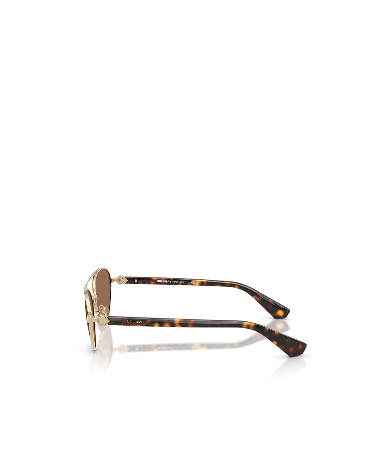 Burberry Woman Sunglass Be3165 In Brown
