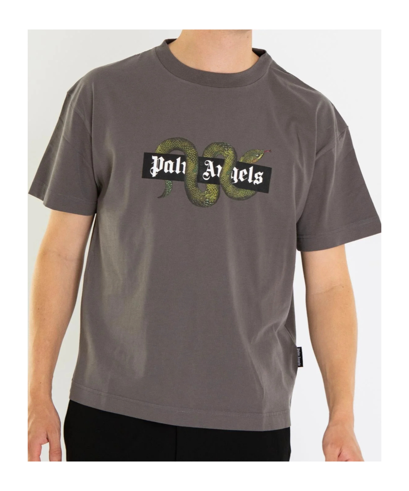 Palm Angels Snake Box Logo T-shirt In Gray