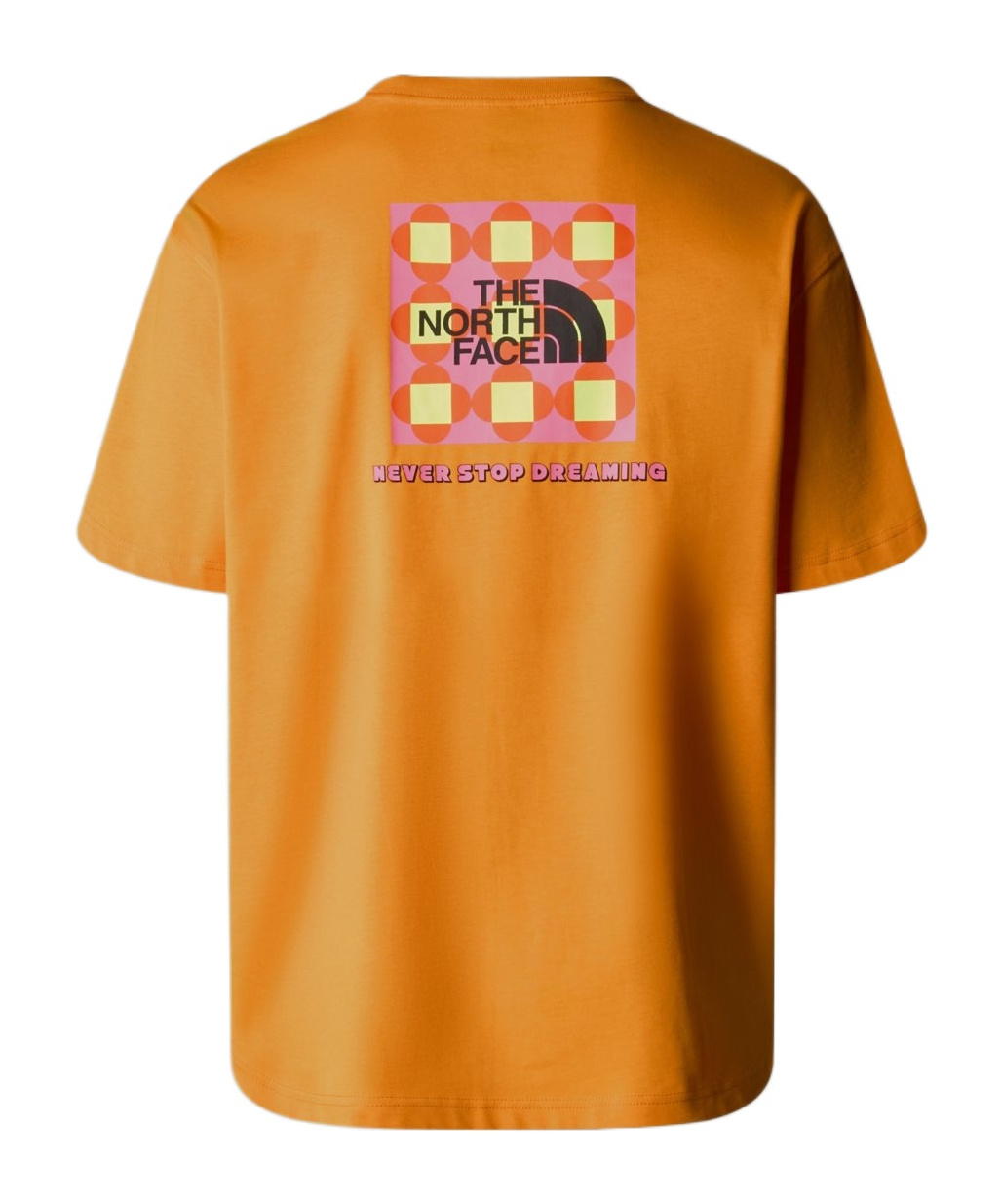 THE NORTH FACE TNF X YINKA ILORI T-SHIRT 