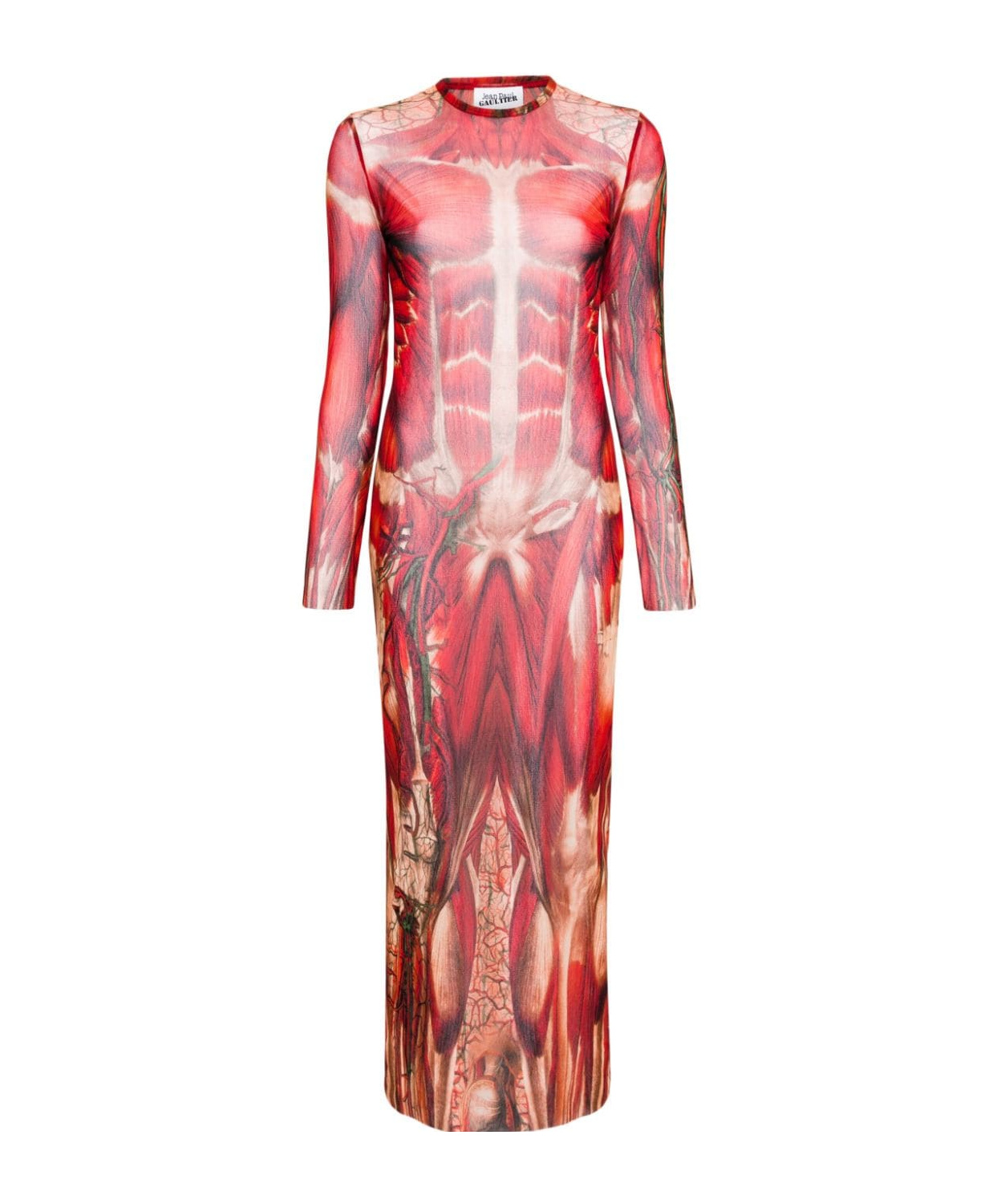 Shop Jean Paul Gaultier Écorché-print Tulle Maxi Dress In Pink