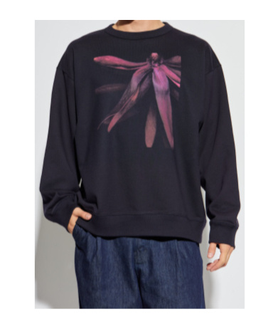 Dries Van Noten Long Sleeve Sweatshirt In Brown