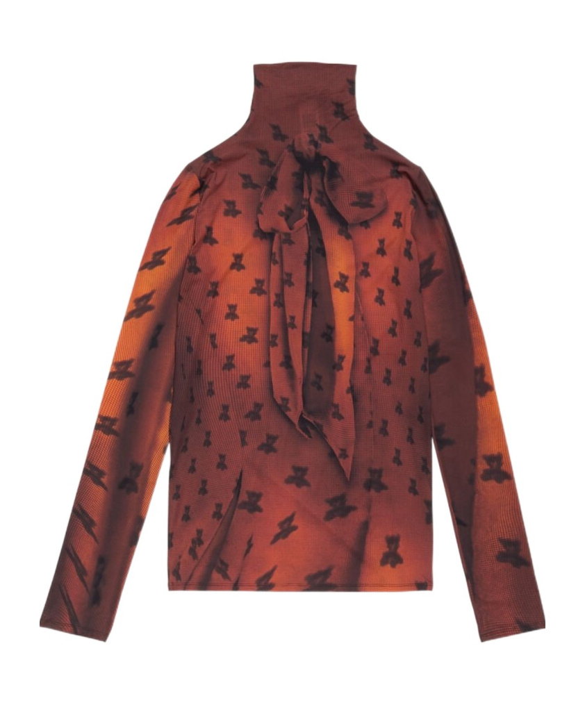 Acne Studios Edenise Teddy Print Long Sleeve Mesh Top In Brown