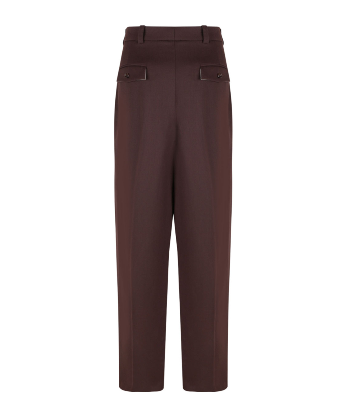 Elisabetta Franchi Pleat Detailed Straight-leg Trousers In Brown