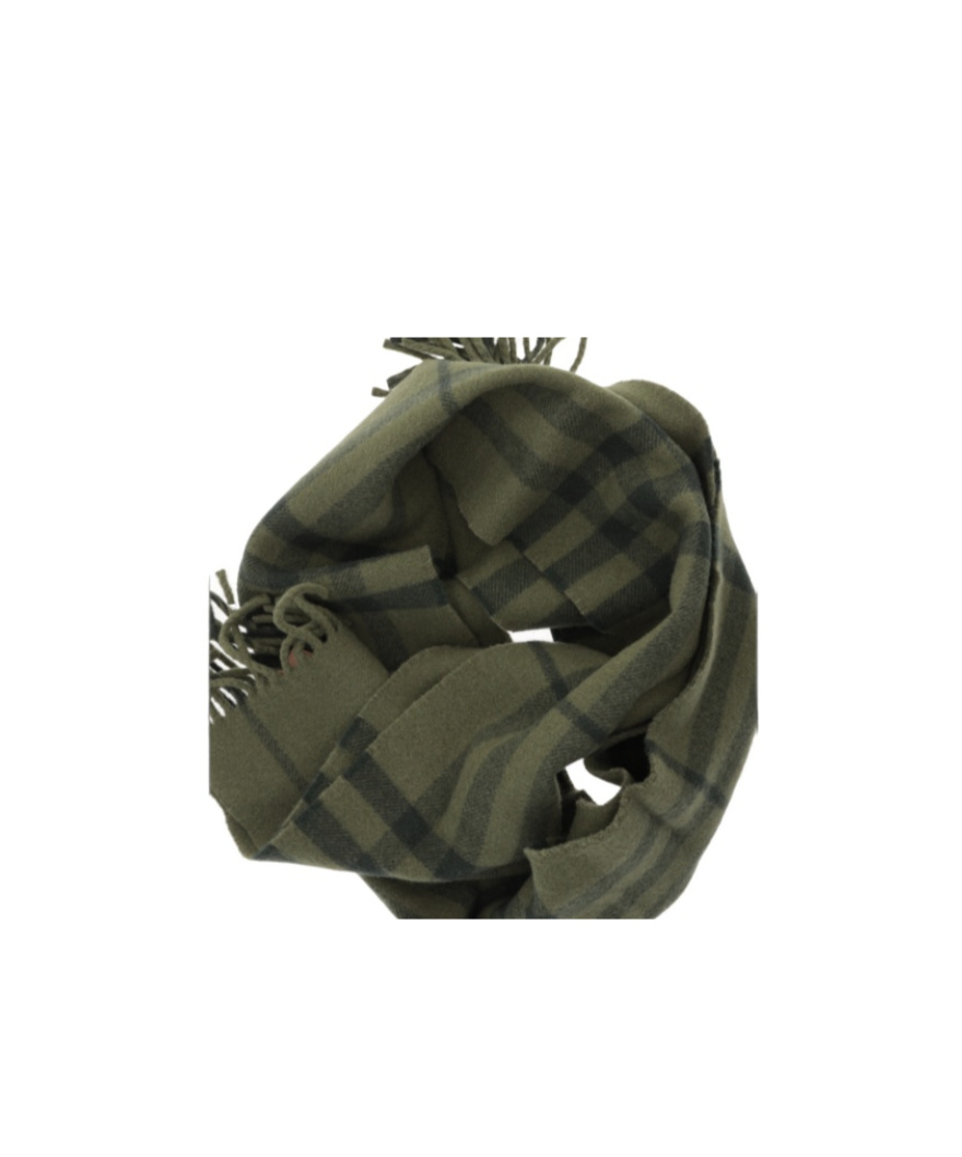 Burberry Plaid Scarf In Green