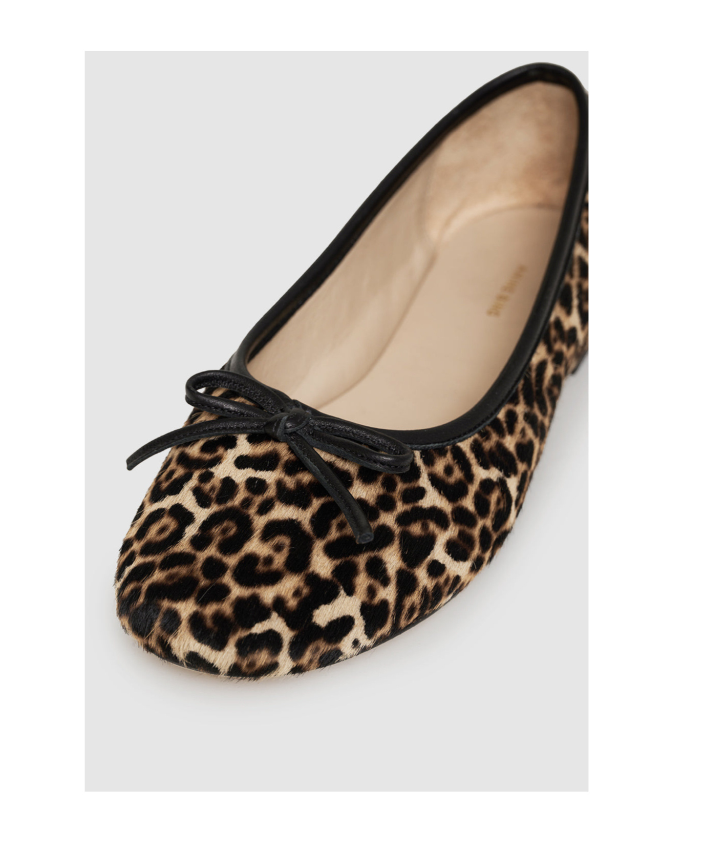 Anine Bing Jamie Leopard-patterm Flats In Multi