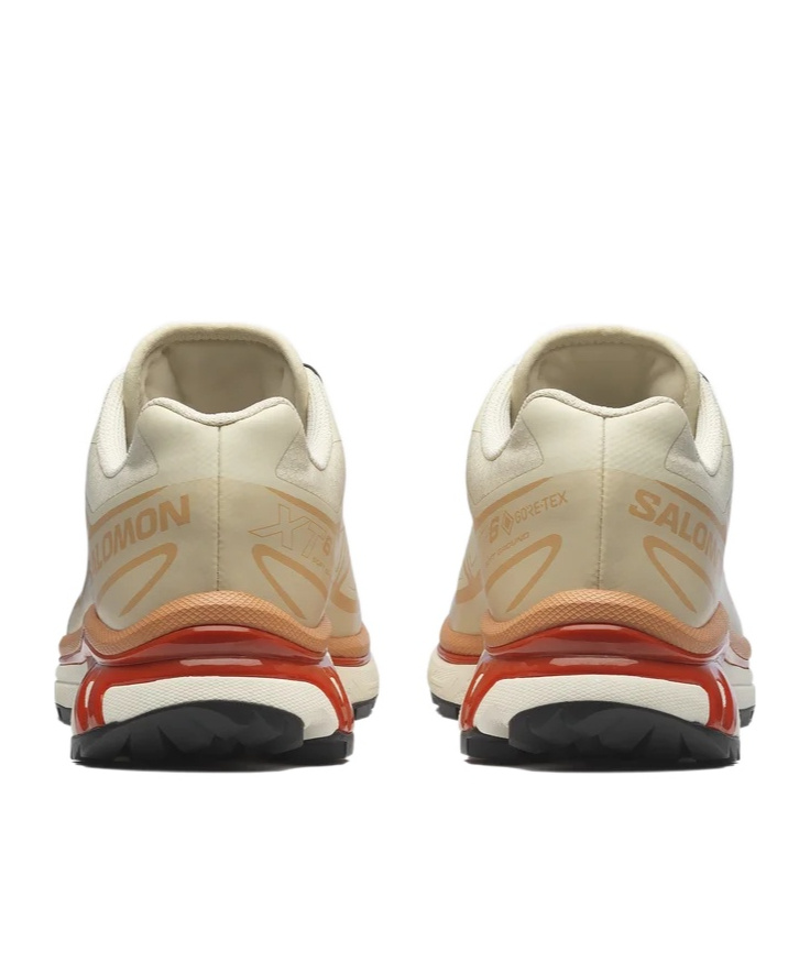 Salomon Xt-6 Gore-tex In Brown