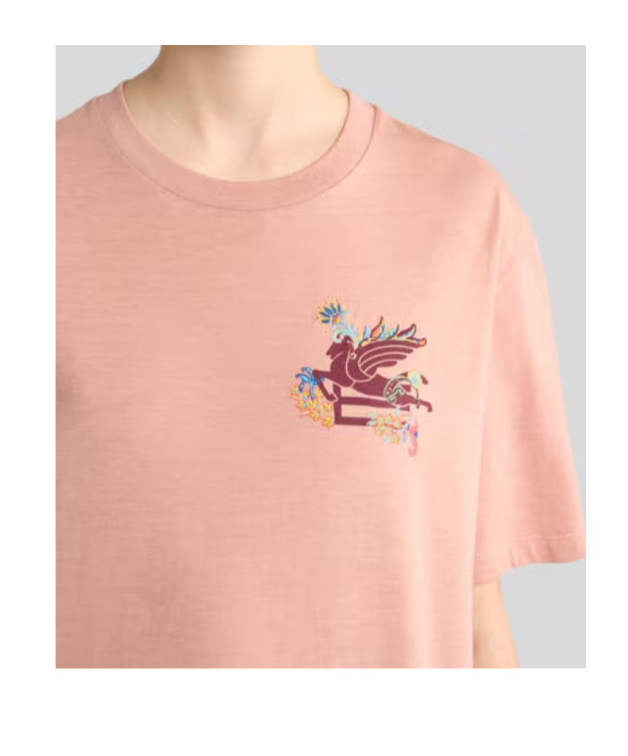 Etro Regular Fit T-shirt With Intricate Pegasus Graphic In Multi