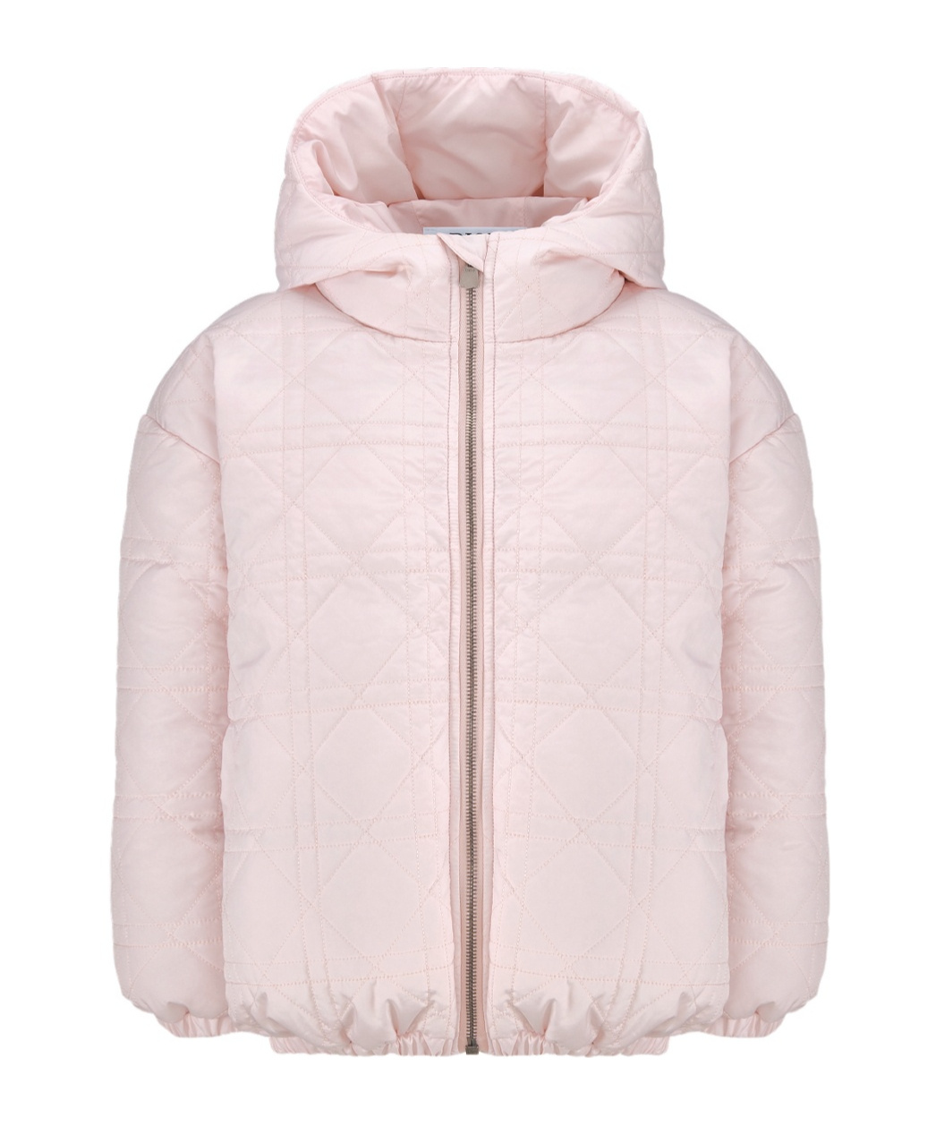 Dior Hooded Down Jacket In Pink
