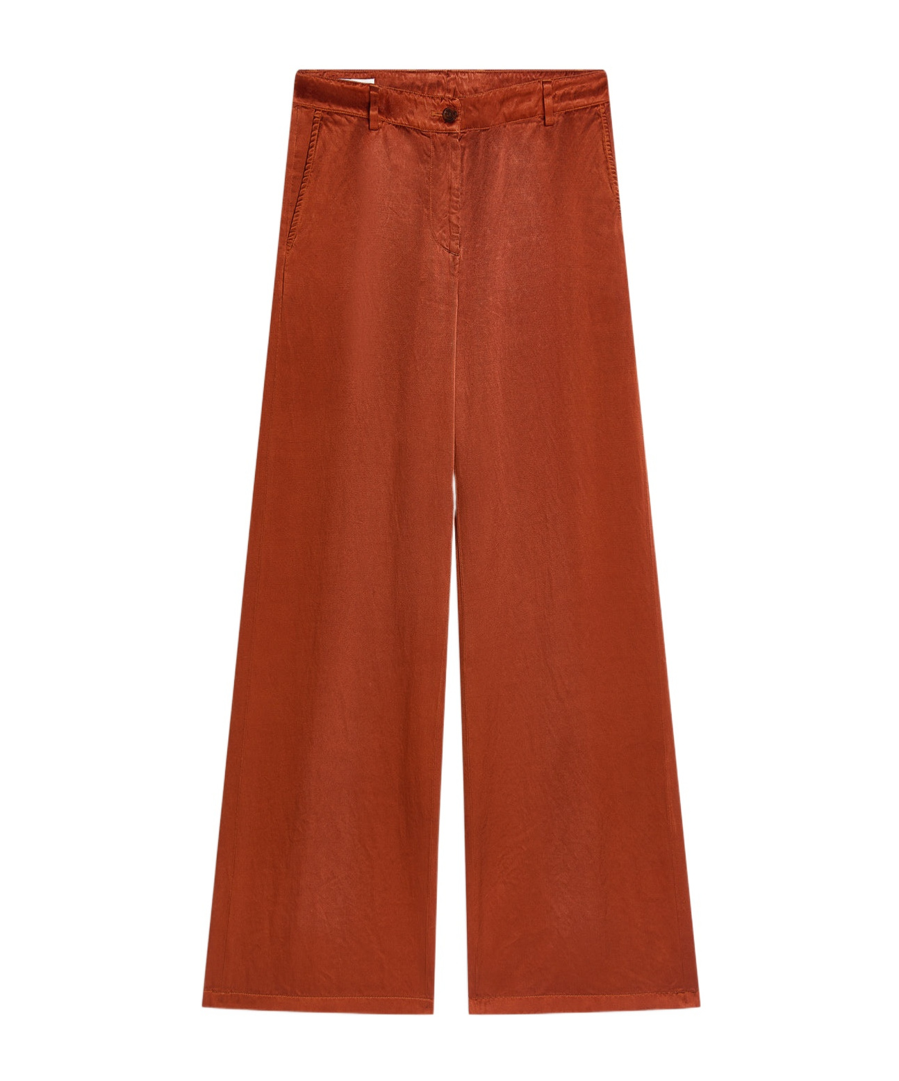 Dries Van Noten Straight-leg Casual Pants In Brown