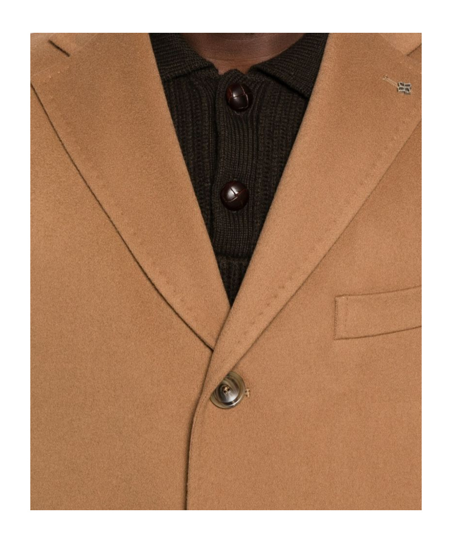 Tagliatore Single-breasted Coat In Brown