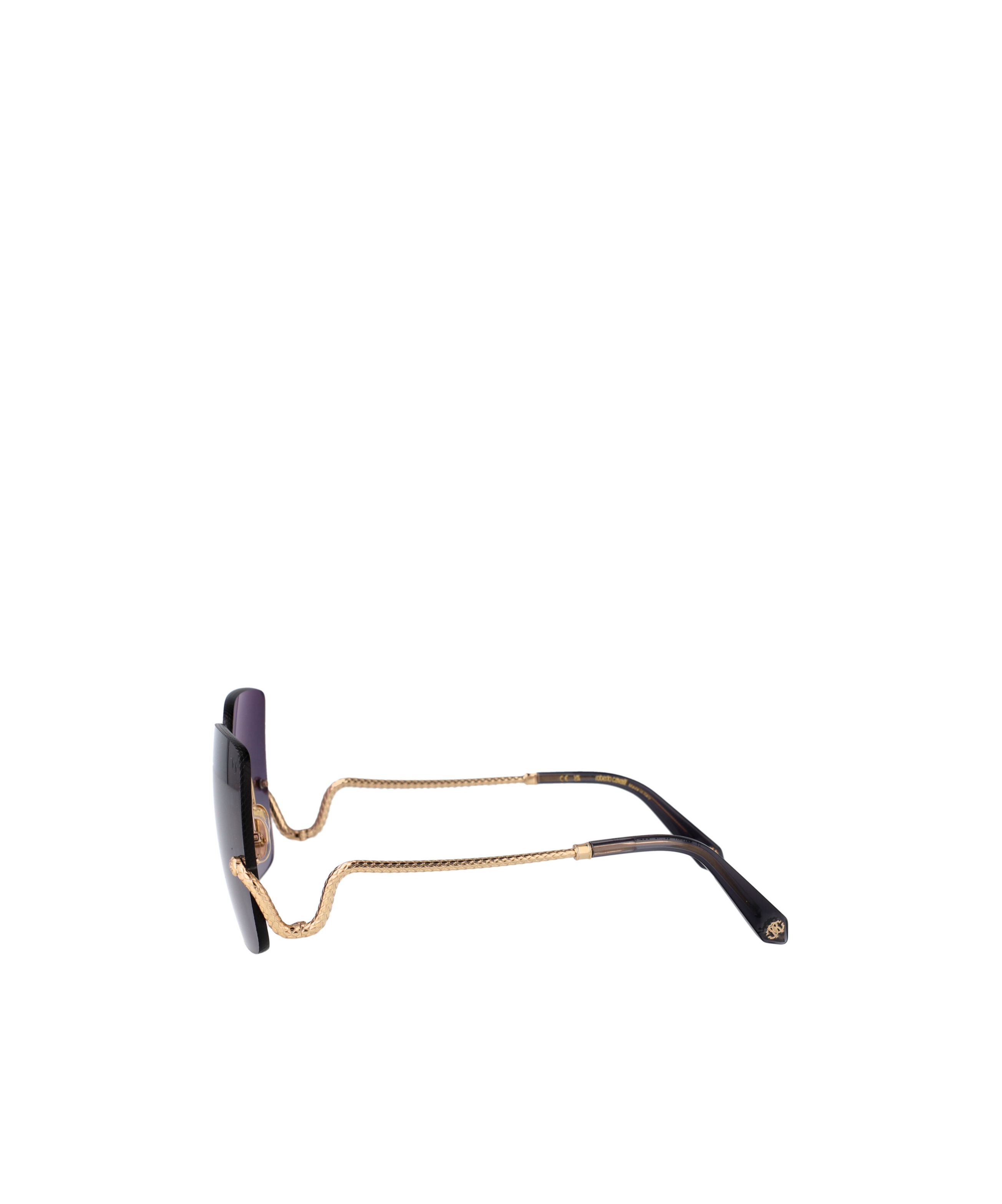 Roberto Cavalli Src061 Sunglasses In Gray