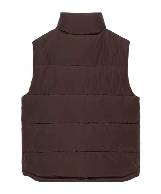 Carhartt Brent Vest In Brown