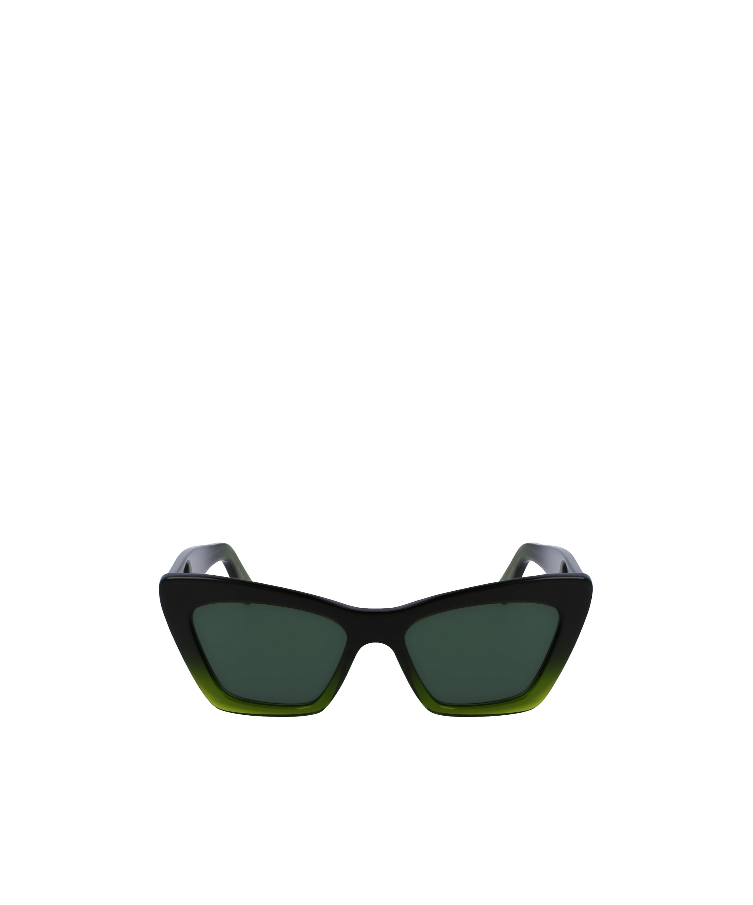 Ferragamo Sunglasses In Black