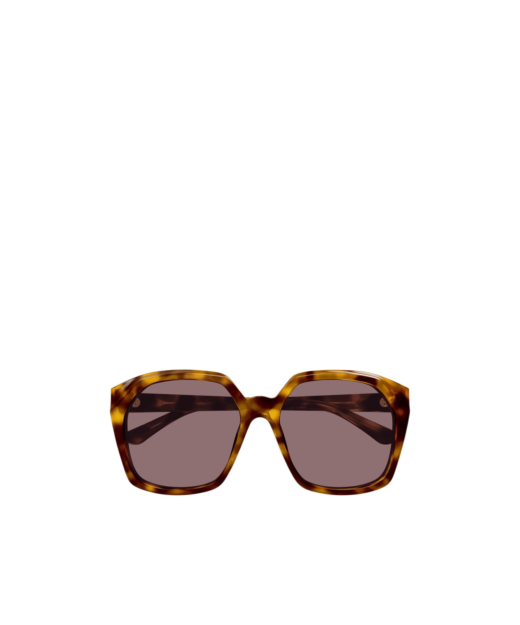 Chloé Salome Sunglasses In Gray
