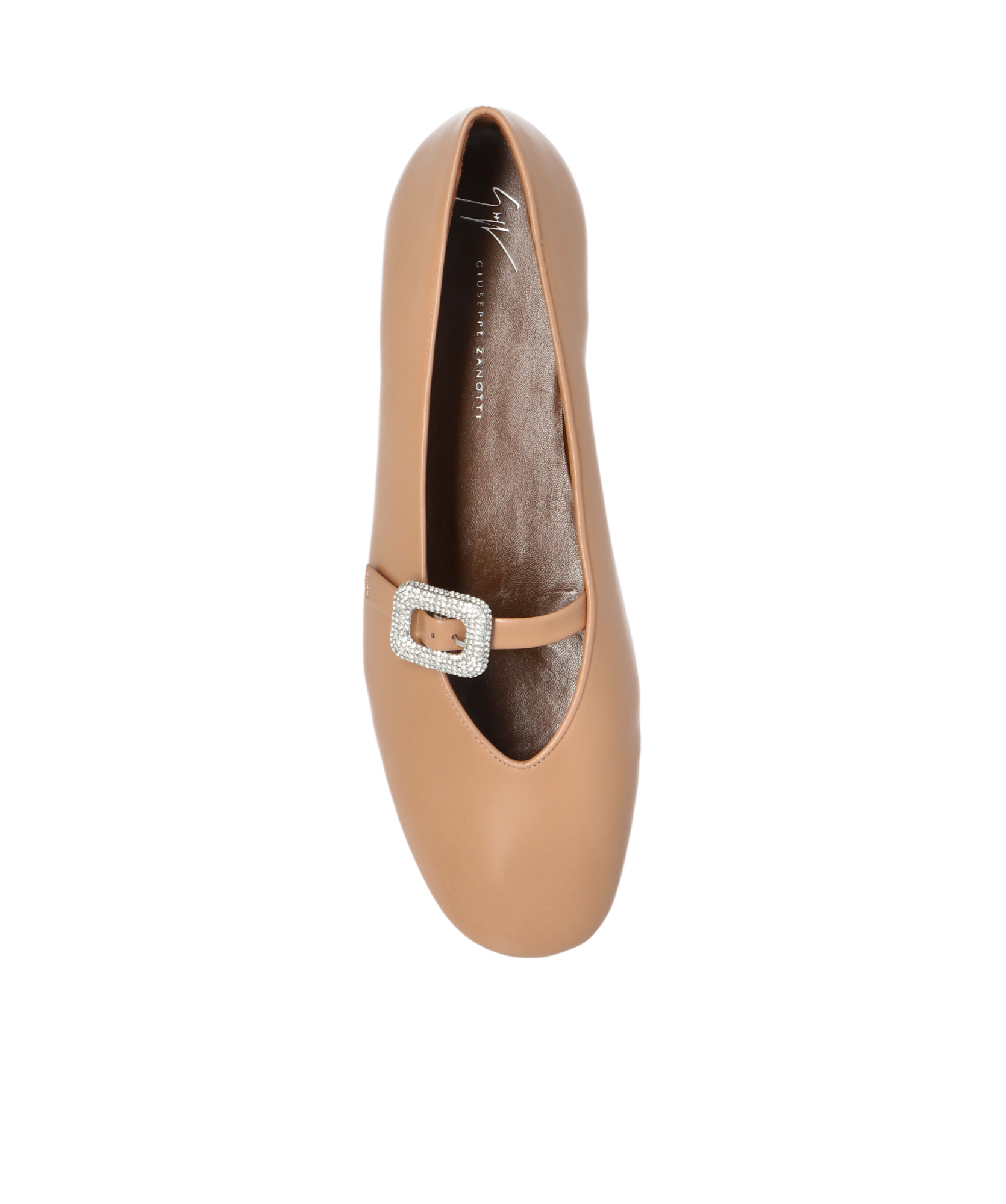 Giuseppe Zanotti Georgia Ballet Flats In Brown