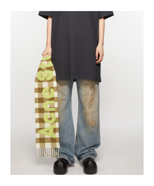 Acne Studios Jacquard-logo Checked Scarf In Multicolor