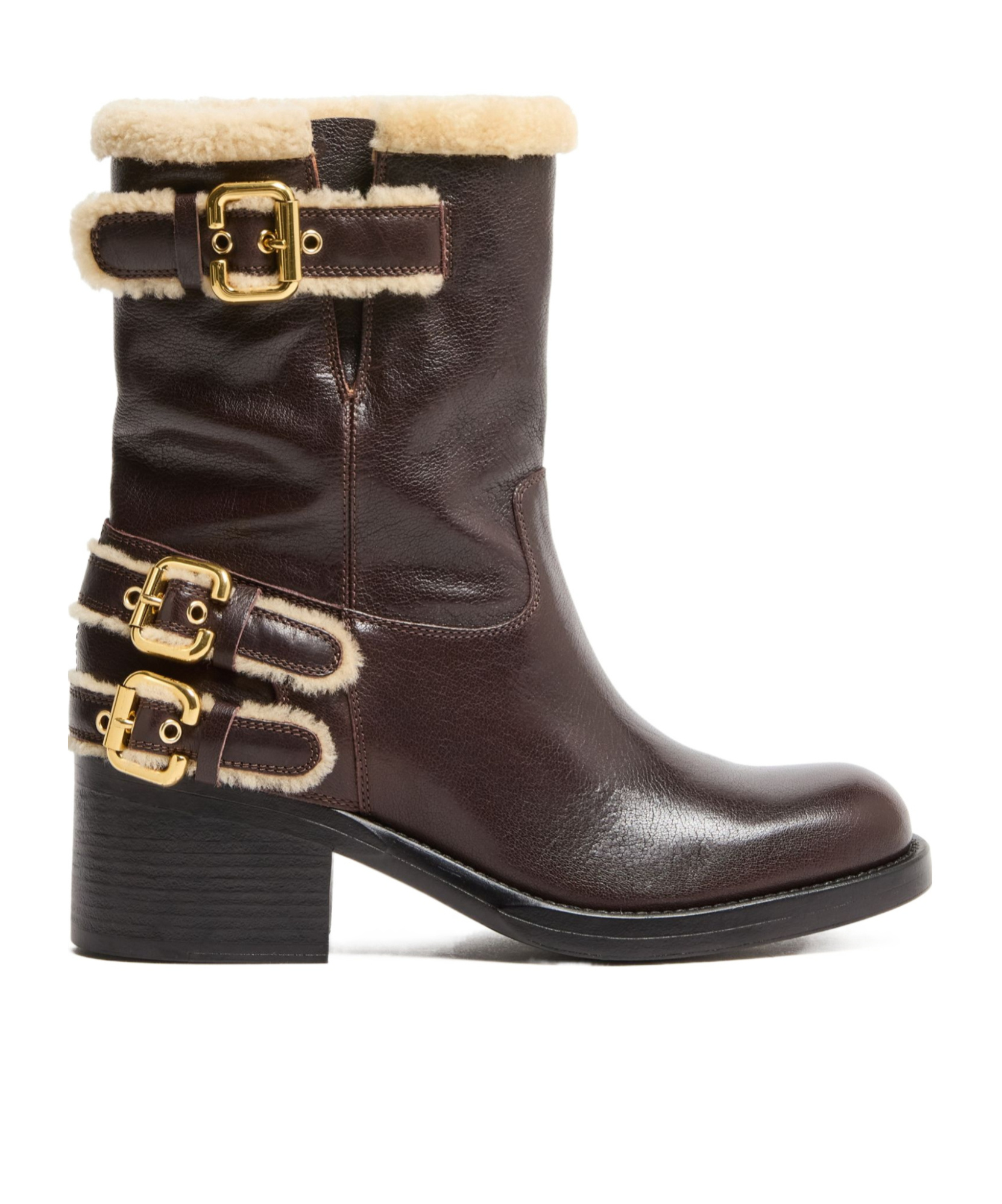 Chloé Dakota Ankle Boots In Black