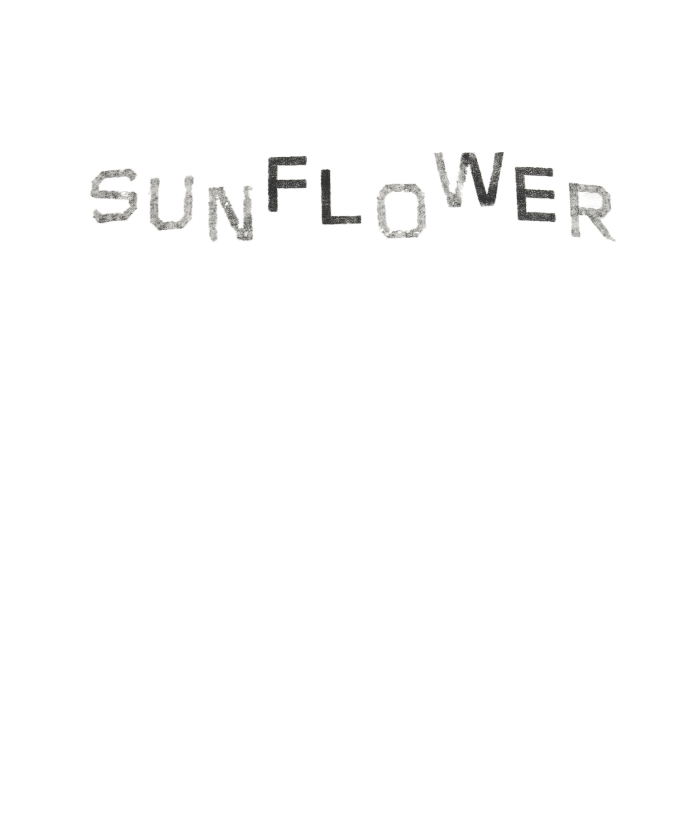 Sunflower Easy Logo T-shirt In White