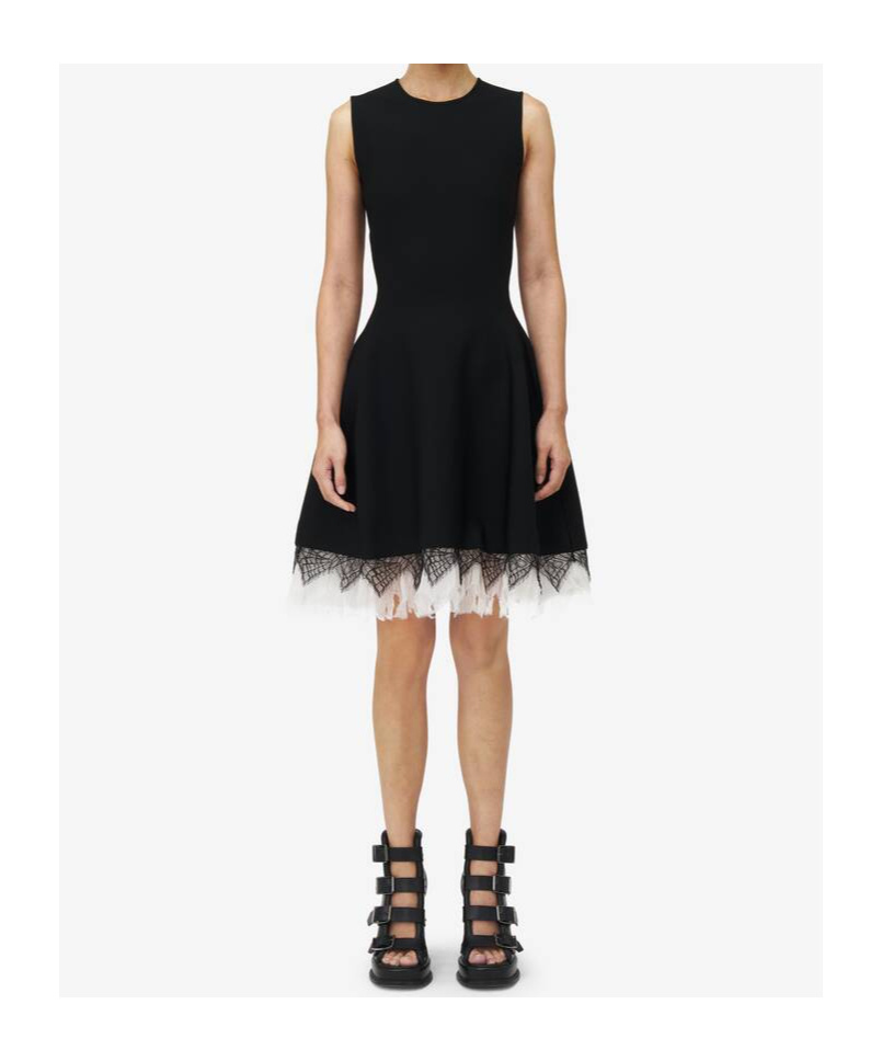 Shop Alexander Mcqueen Cobweb-lace Mini Dress In Black