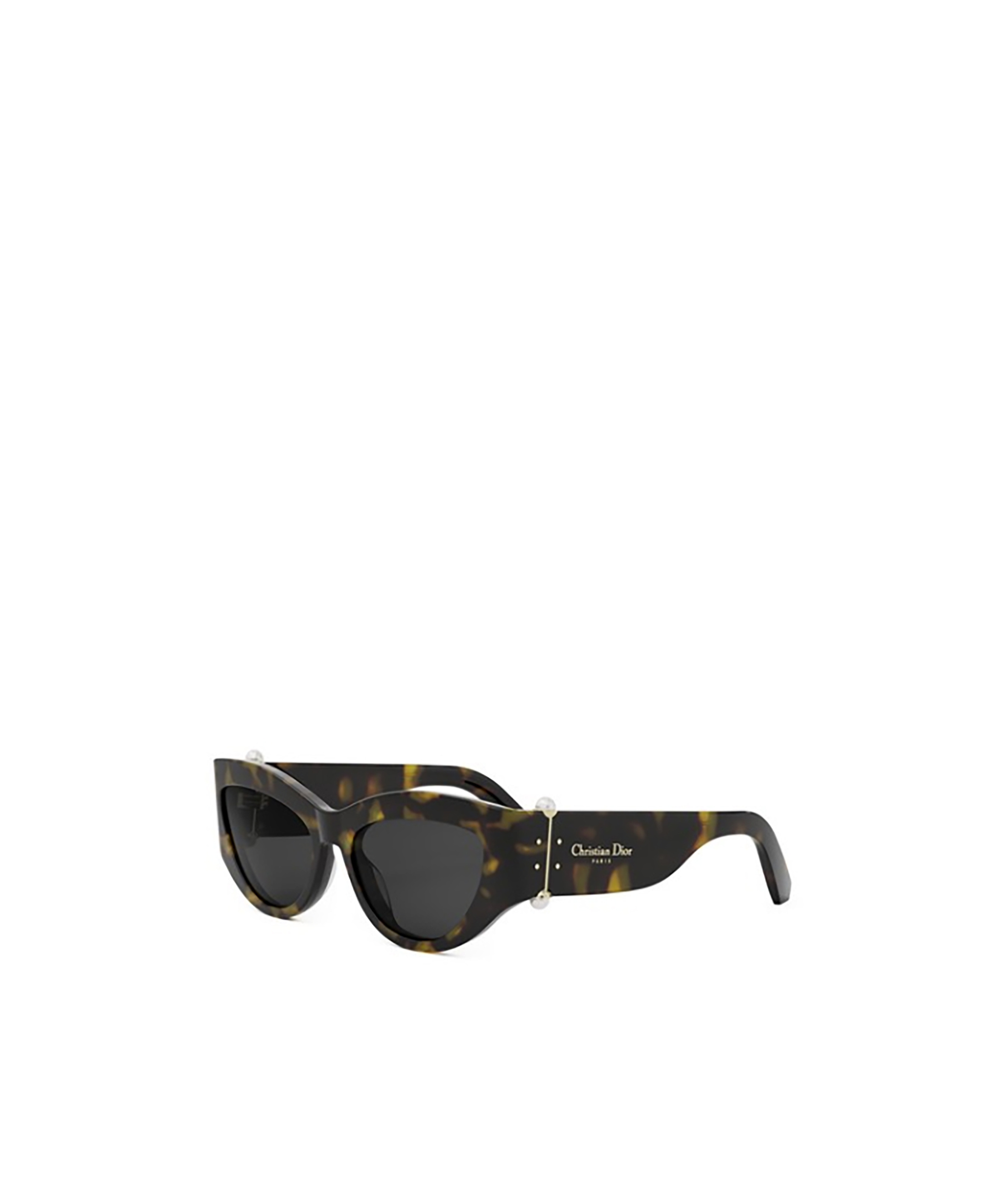 Dior Tribales B1i Sunglasses In Black