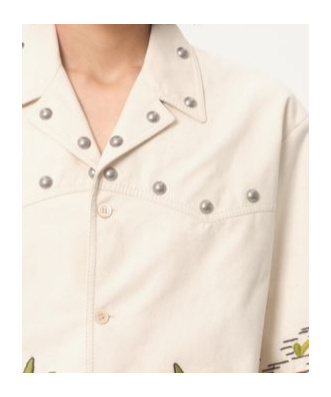 Valentino Camicia In Canvas Di Cotone Con Ricamo Floreale In Multi