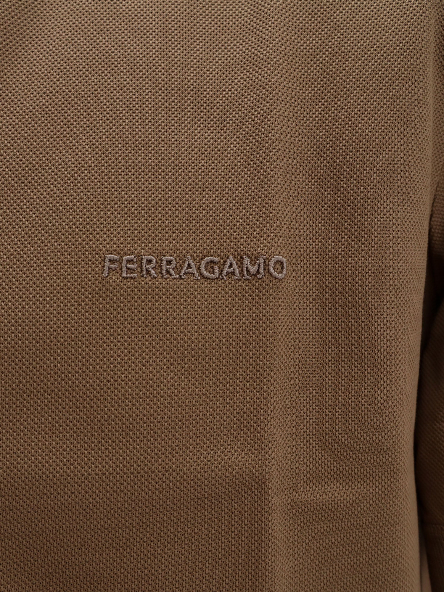Ferragamo Polo Shirt With Lapel Short Sleeve In Brown