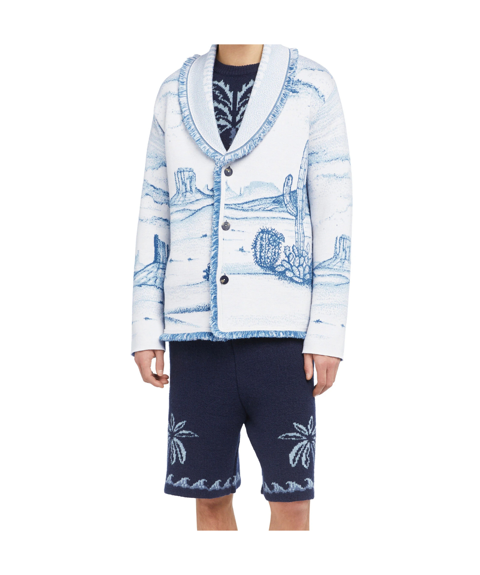 Alanui Silent Rider Landscape-intarsia Fringed Cardigan In Blue