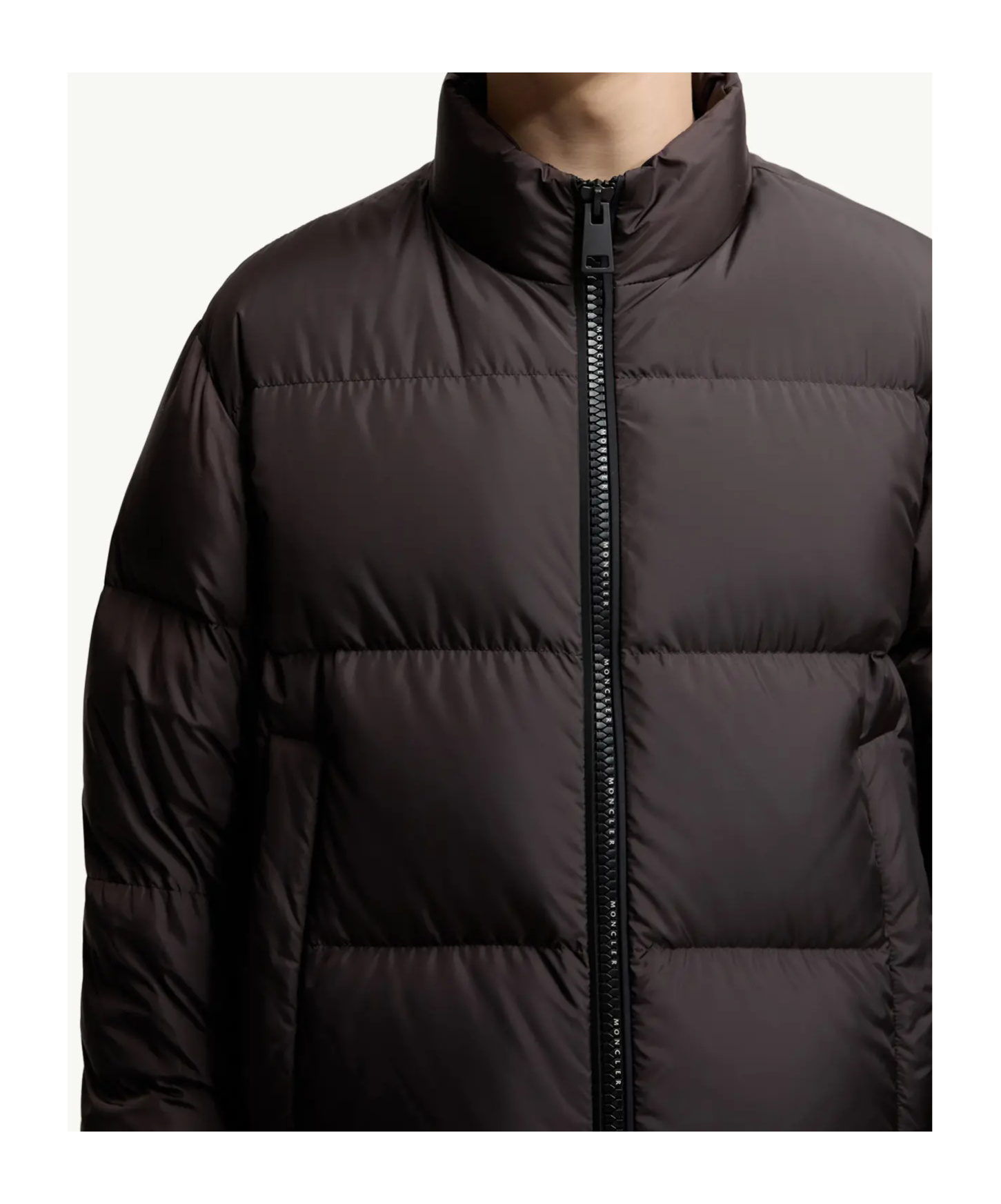 Moncler Dark Brown Nylon Erterle Down Jacket In Brown