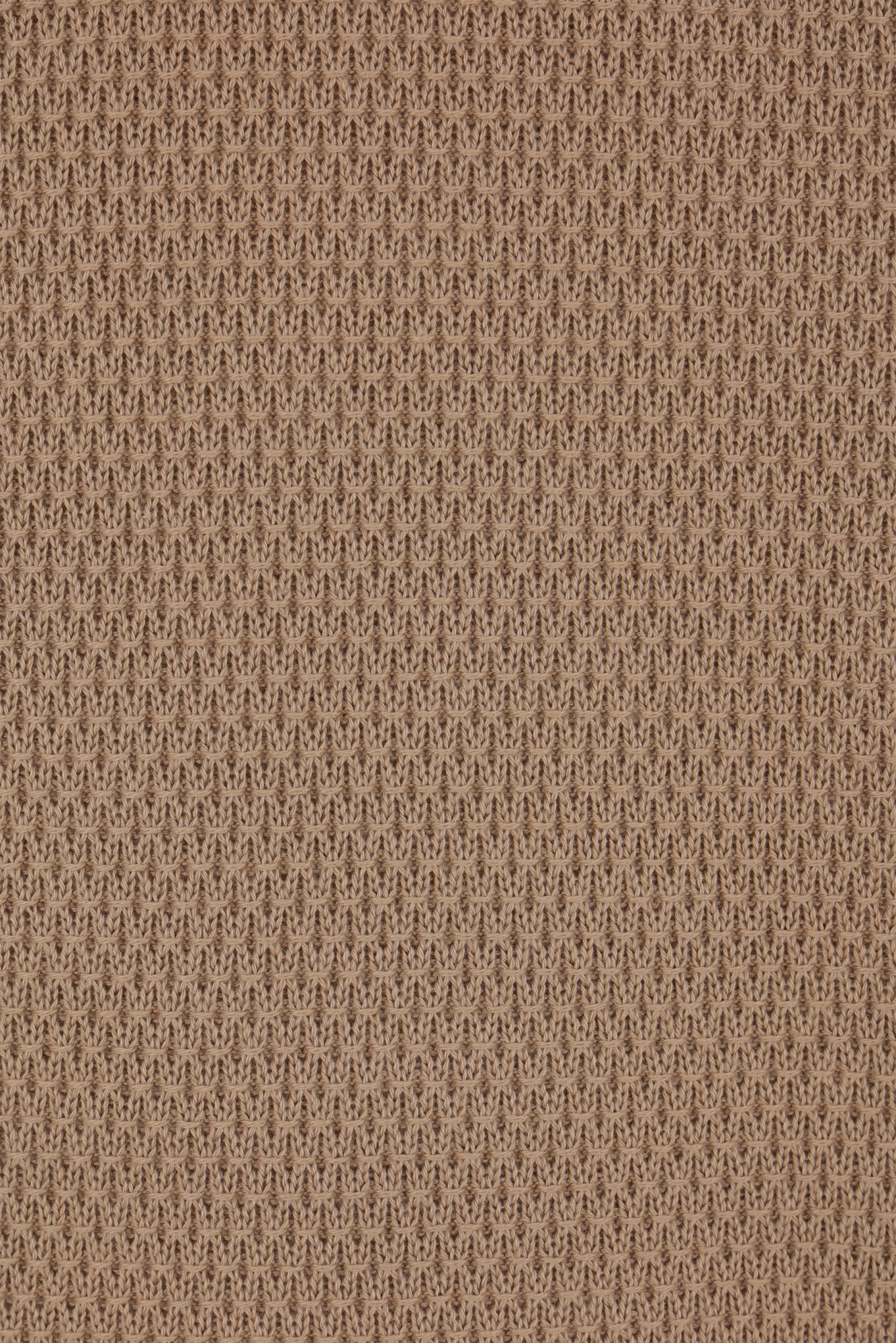 Shop Zegna Cotton T-shirt In Brown