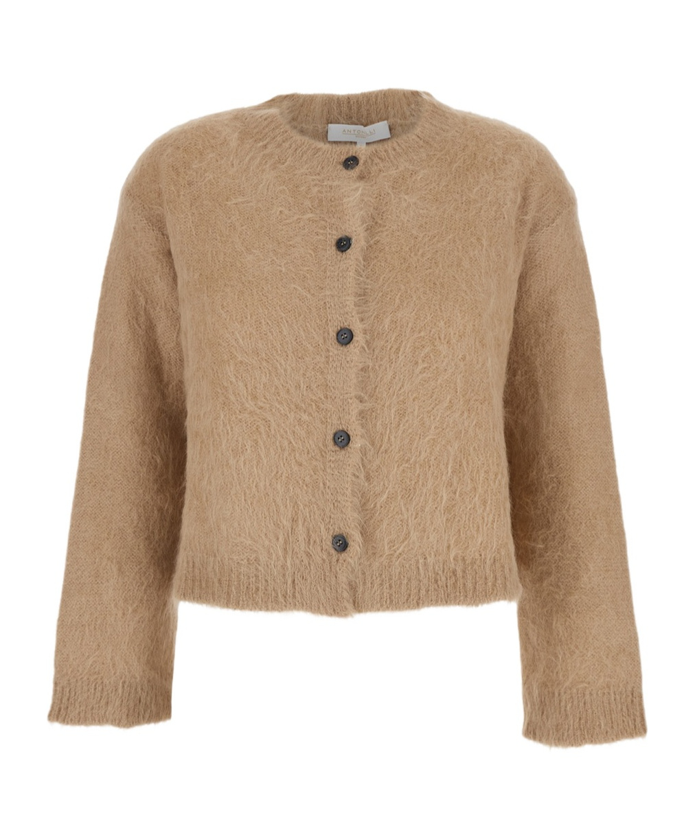Antonelli Round-neck Long-sleeve Knitted Sweater In Animal Print