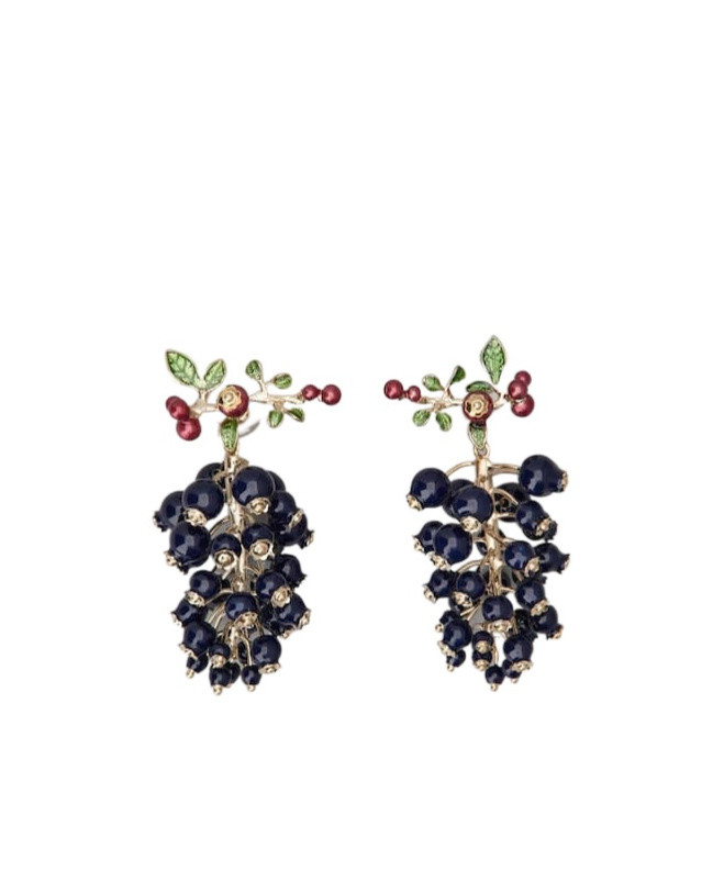 Roger Vivier Earrings