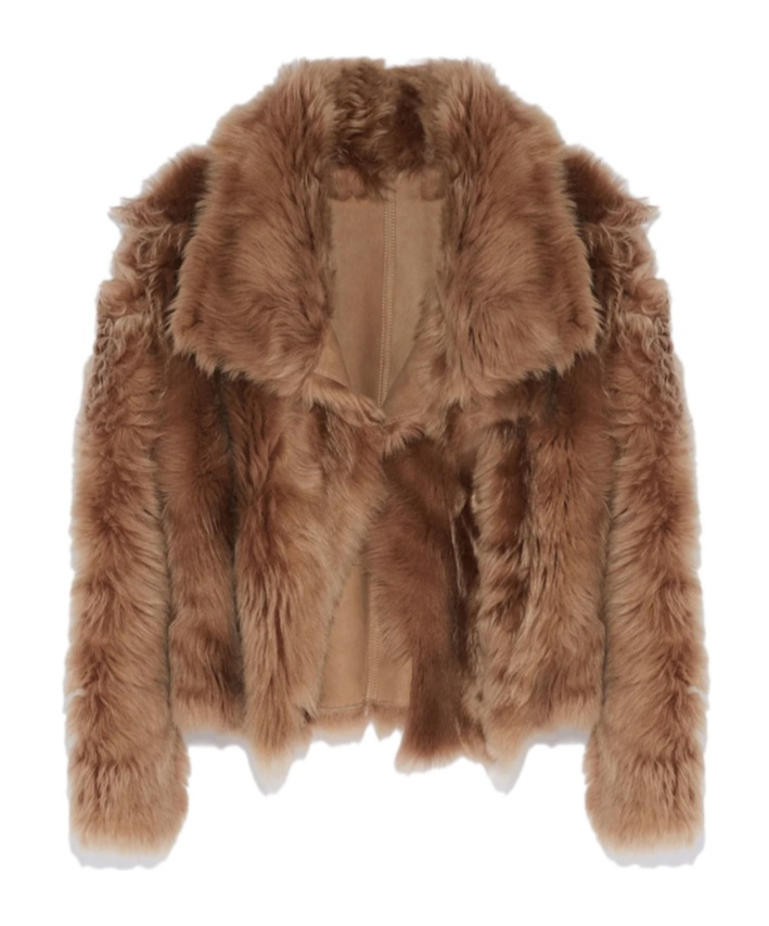 Shop Yves Salomon Shearling Stand Up-collar Jacket In Brown