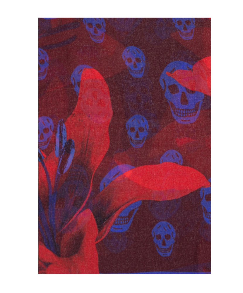 Alexander Mcqueen Classic Skull And Lily Silk Chiffon Scarf In Red
