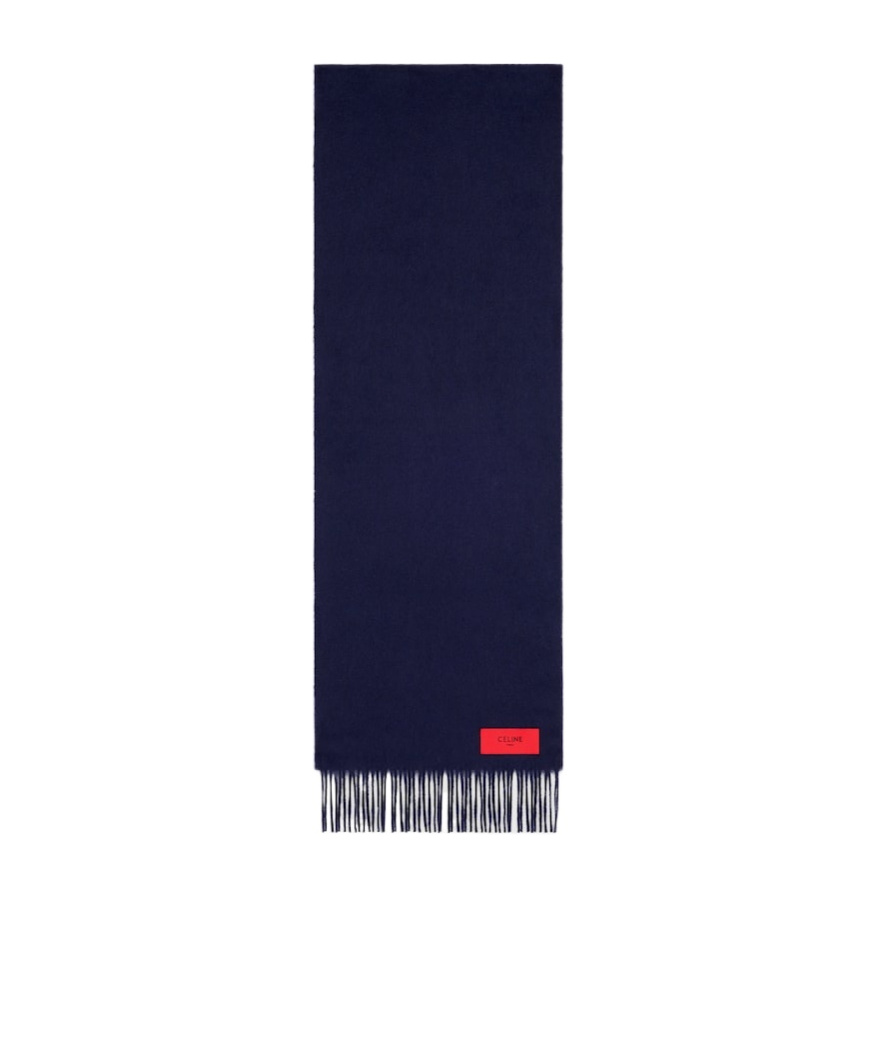 Celine Scarf In Cashmere In Blue
