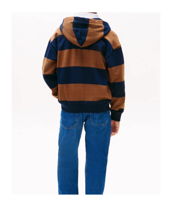 Tommy Hilfiger Striped Hoodie In Multi