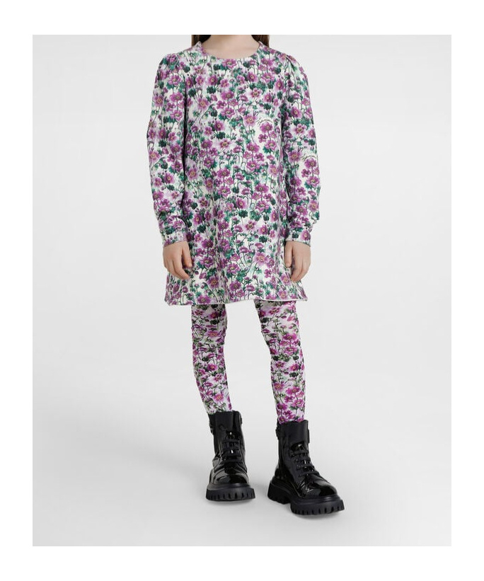 Dolce & Gabbana Floral-print Dress In Multi