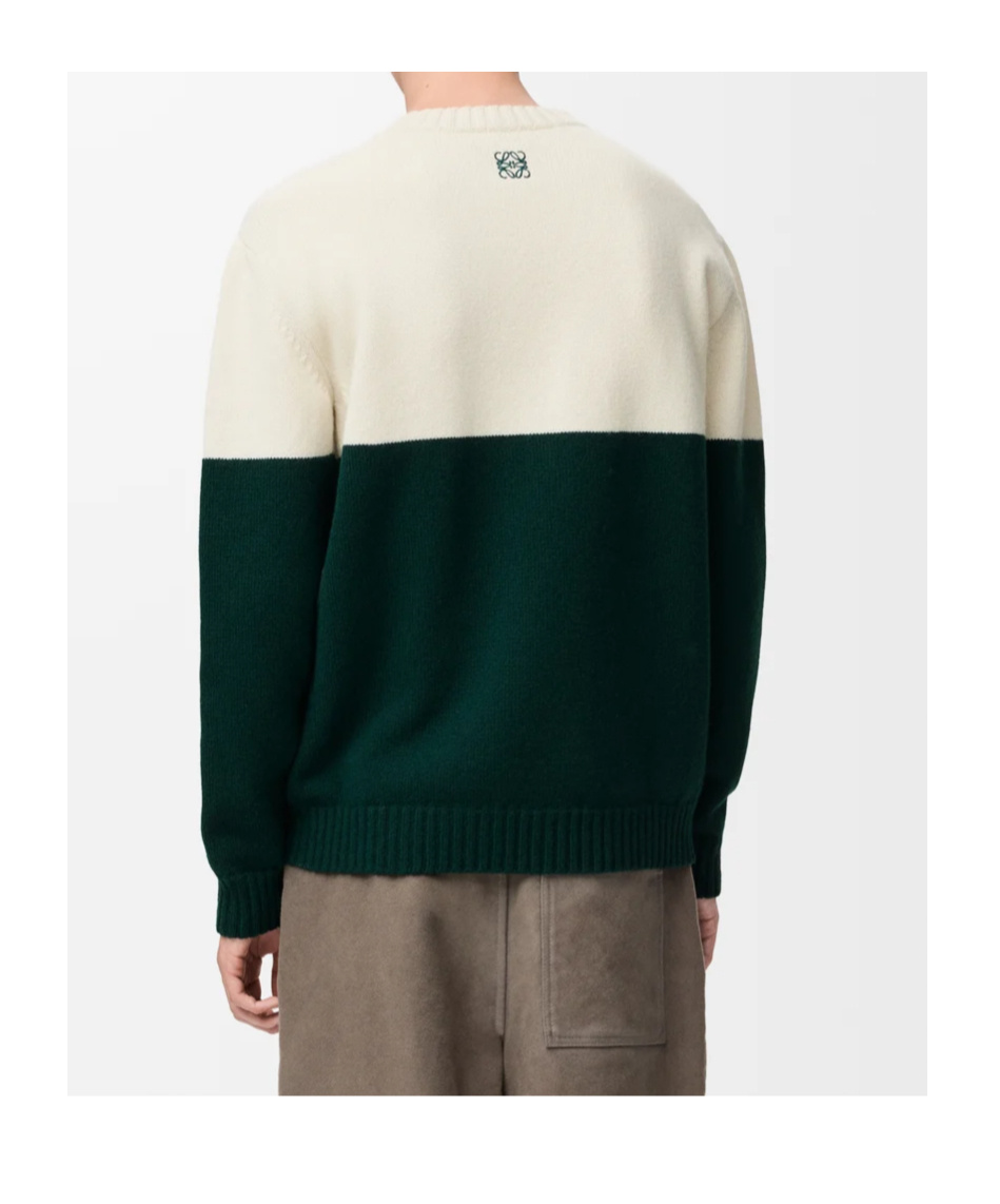 Loewe X Louis Wain Embroidered Wool Sweater In Multi