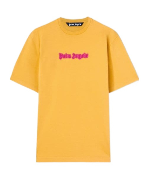 Palm Angels Solid Color Crew-neck T-shirt With Embroidered Logo In Multi