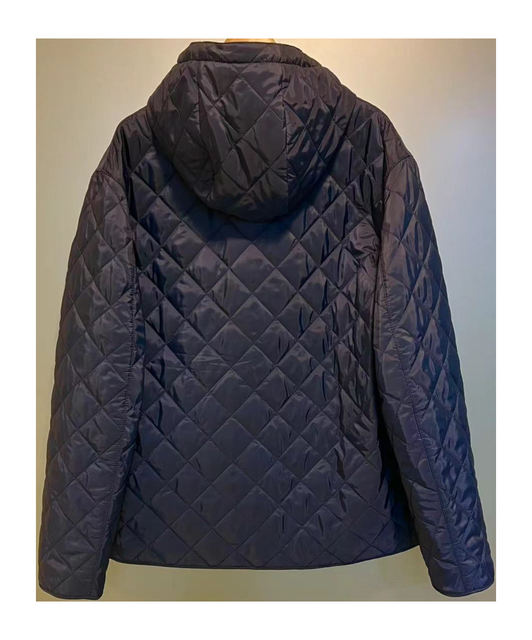 Prada Hooded Cotton Jacket In Brown