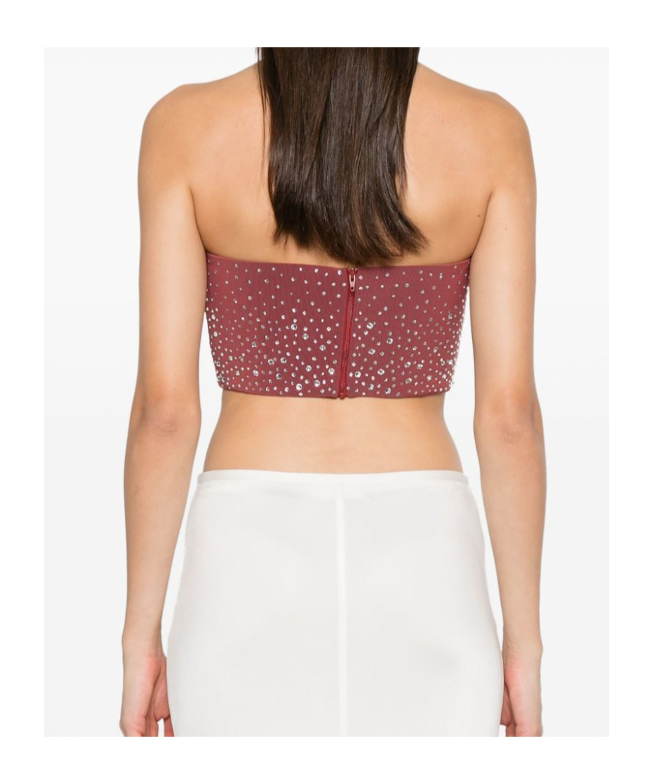 Alex Perry Crystal-embellished Top In Pink