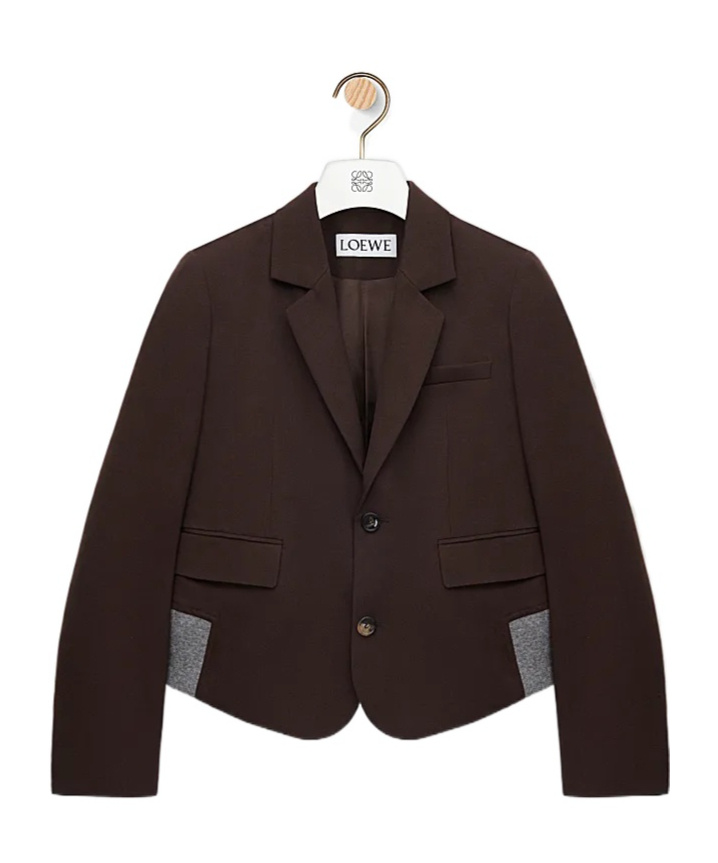 Loewe Wool Tailored Jacket In Brown