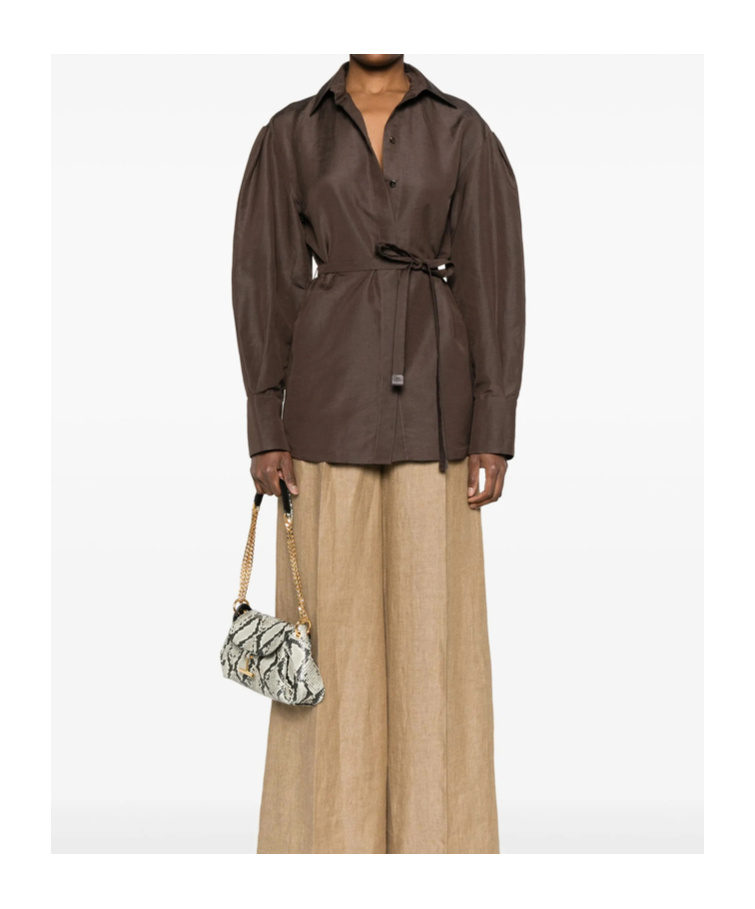 Shop Max Mara Lapel Long Sleeve Shirt In Brown