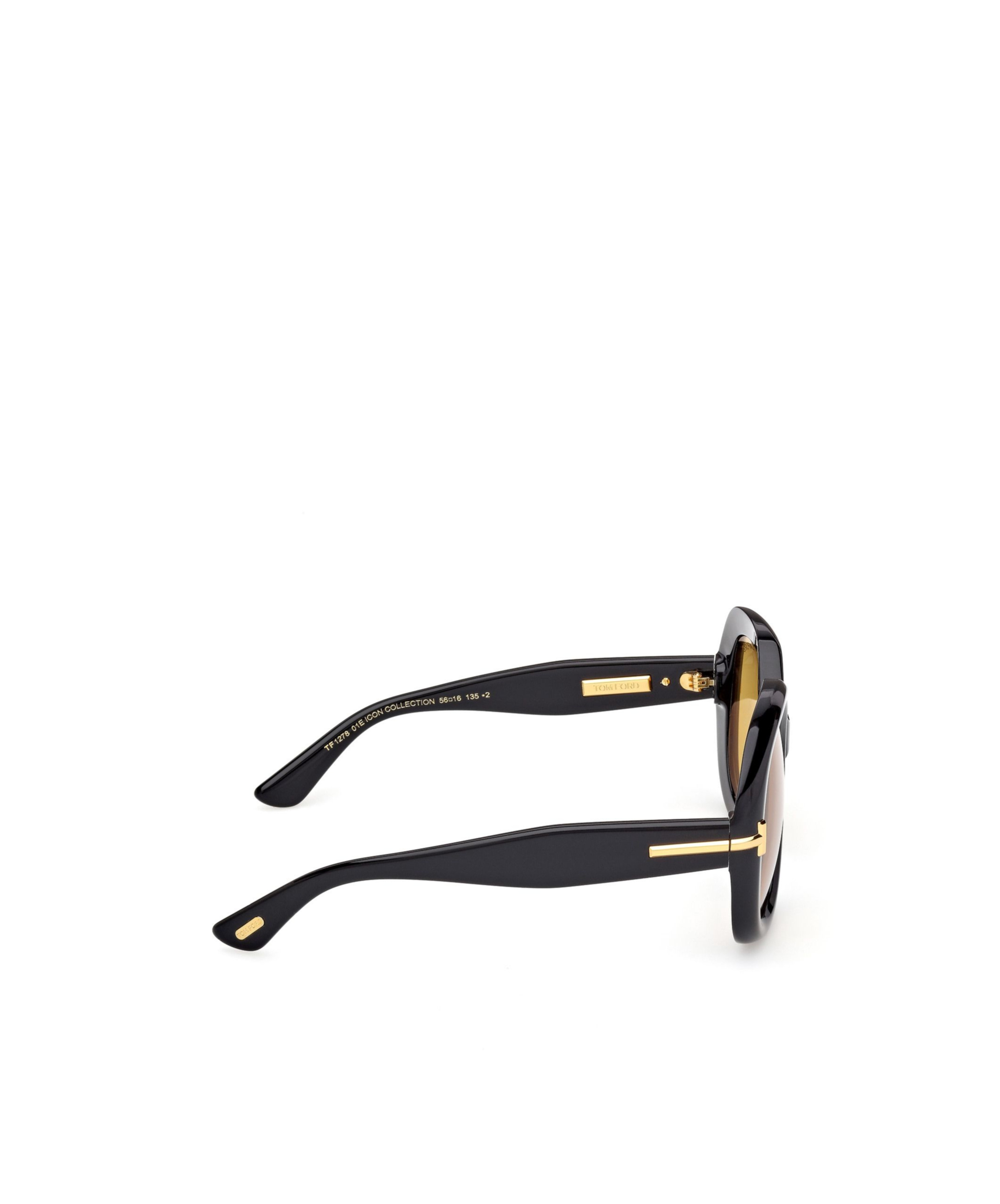 Tom Ford Icon Acetate Geometric Sunglasses In Black