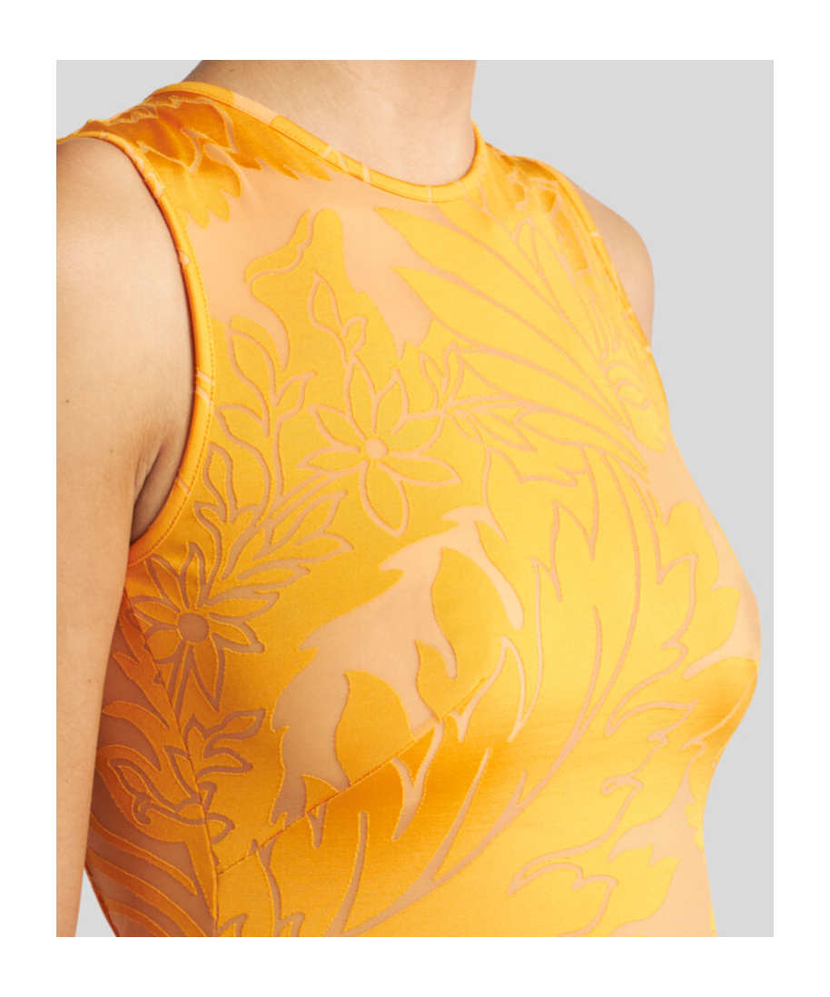 Etro Orange Long Dress With Semi-transparent Design And Cut Out Detail On The Back In Viscose Blend Woman In Yellow