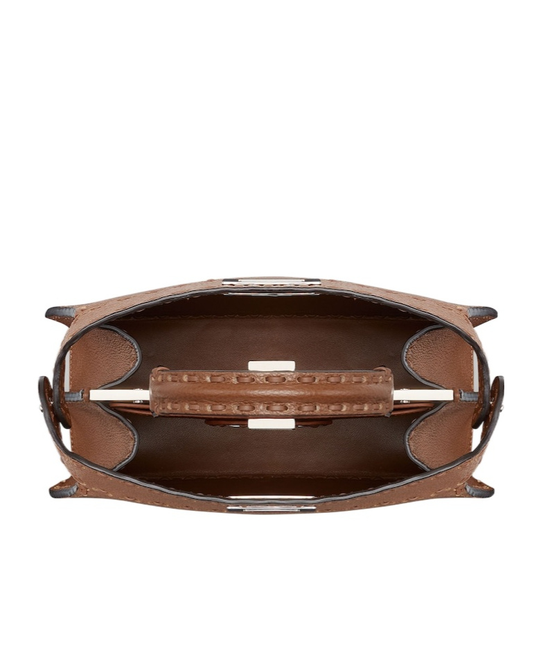 Fendi Women Brown Peekaboo Iseeu Small Handbag In Brown