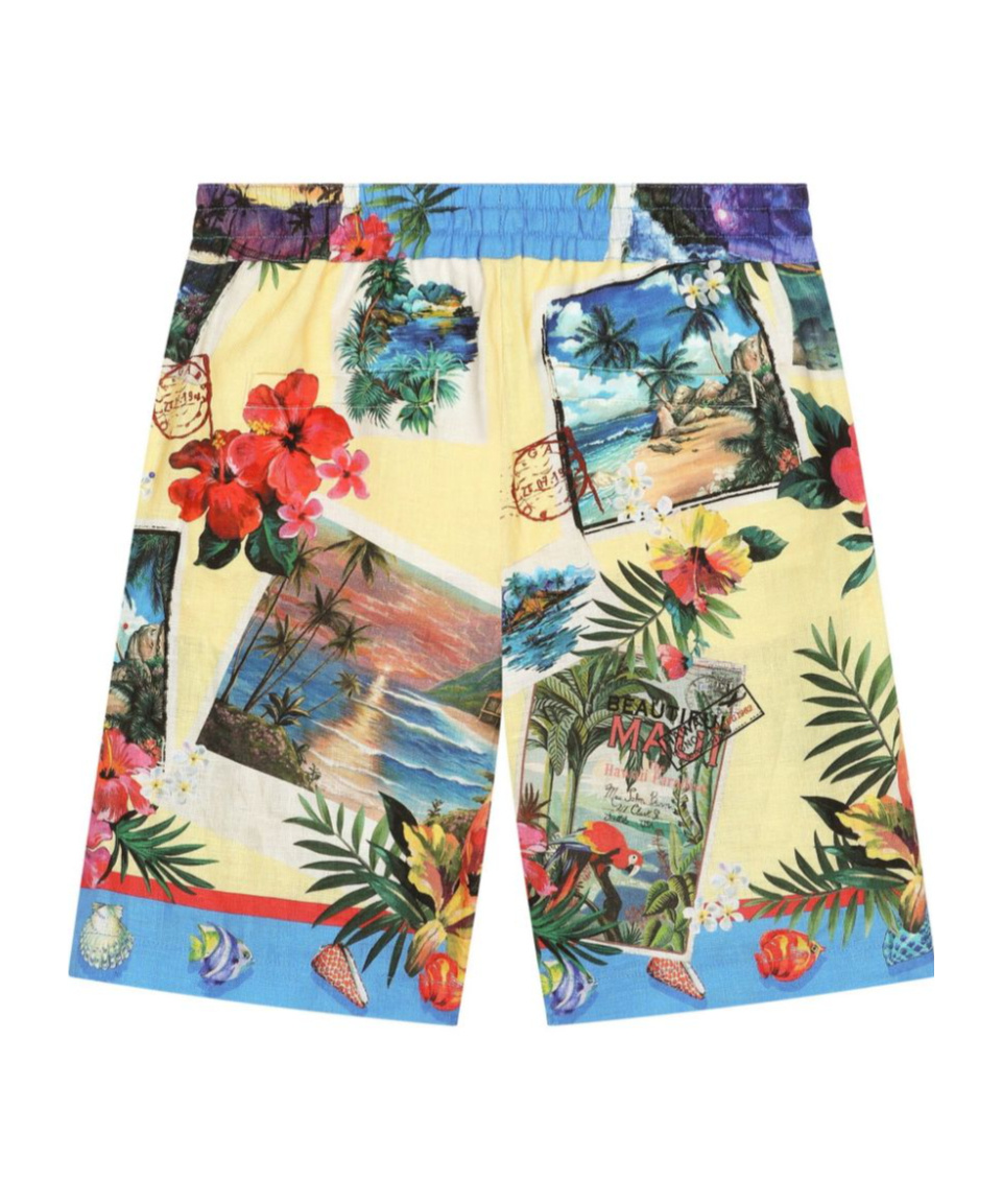 Dolce & Gabbana Hawaiian-print Bermuda Shorts In Multicolor